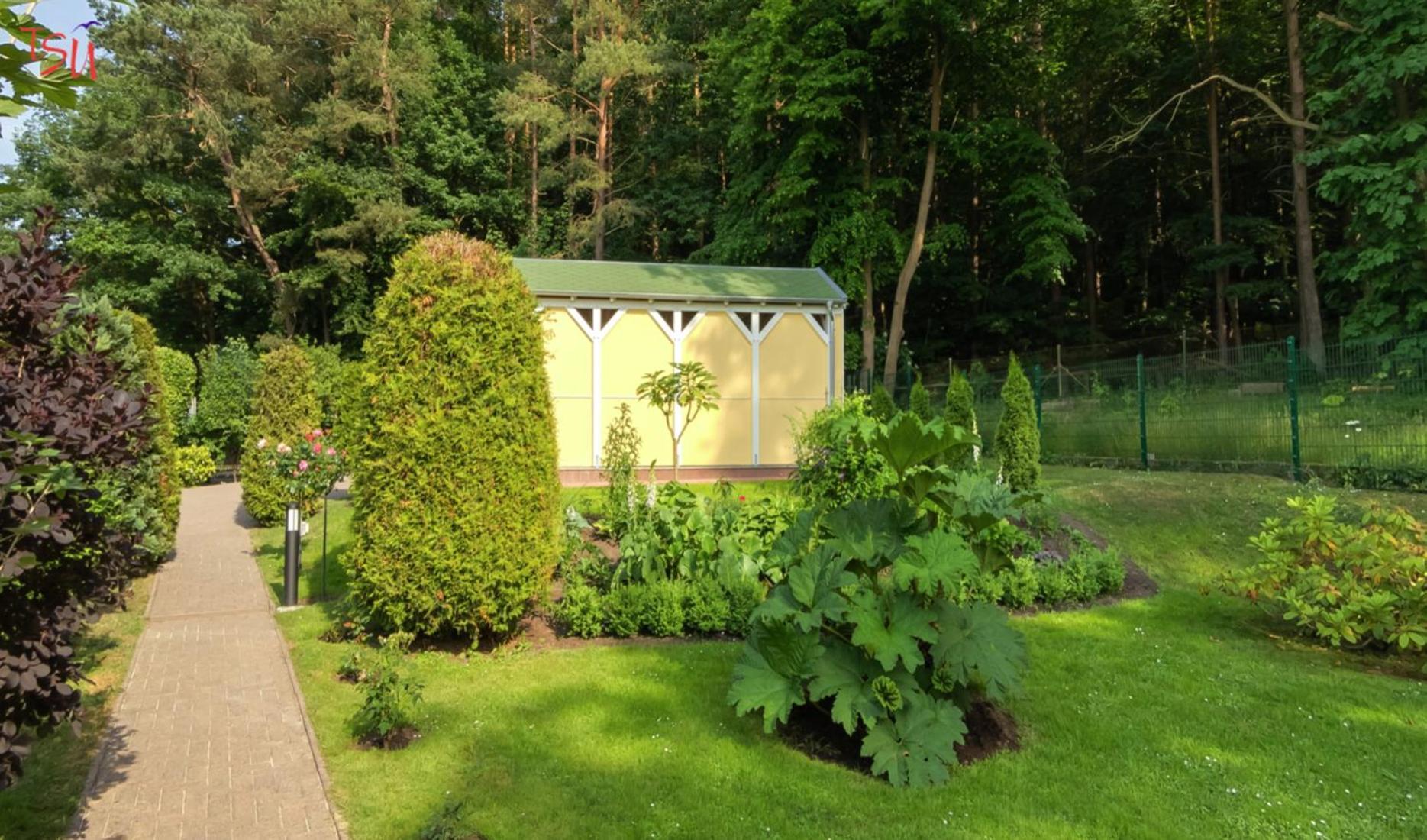 Haus Am Wald Apartman Heringsdorf  Kültér fotó